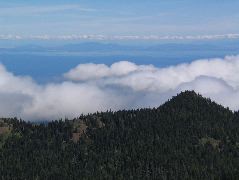 IMG_0705.JPG
