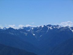 STF_0712.JPG