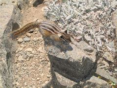IMG_0721.JPG