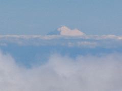 IMG_0722.JPG