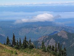 IMG_0723.JPG