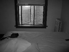 IMG_0742.JPG