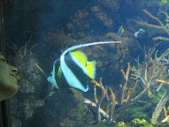 IMG_0747.JPG