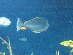IMG_0748.JPG