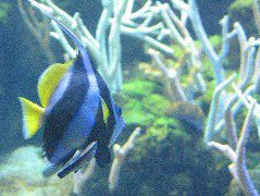 IMG_0749.JPG