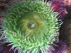 IMG_0754.JPG