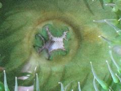 IMG_0755.JPG