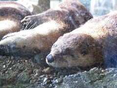IMG_0757.JPG