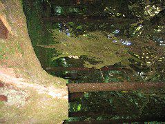 IMG_0449.JPG
