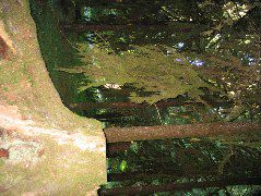 IMG_0450.JPG