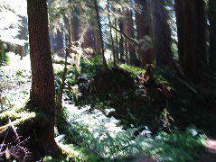 IMG_0454.JPG
