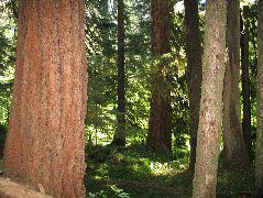 IMG_0455.JPG