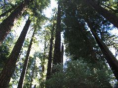 IMG_0456.JPG