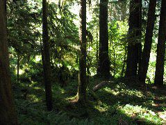 IMG_0457.JPG