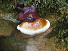 IMG_0458.JPG