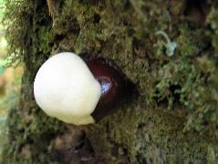 IMG_0459.JPG