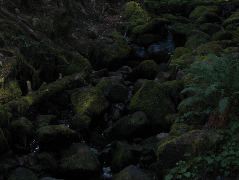 IMG_0461.JPG