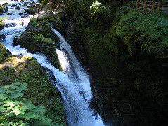 IMG_0465.JPG