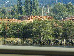 IMG_0412.JPG