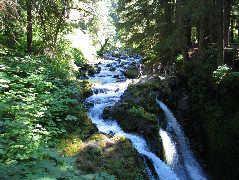 IMG_0466.JPG
