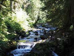 IMG_0468.JPG