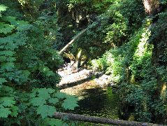 IMG_0469.JPG