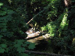 IMG_0470.JPG