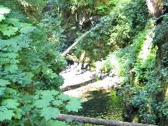 IMG_0471.JPG