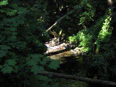 IMG_0472.JPG