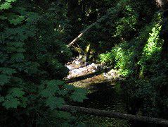 IMG_0473.JPG