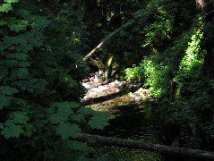 IMG_0474.JPG