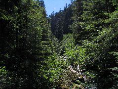 IMG_0476.JPG