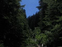IMG_0478.JPG