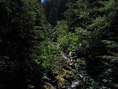 IMG_0479.JPG