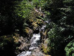 IMG_0480.JPG