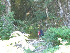IMG_0485.JPG
