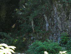 IMG_0486.JPG