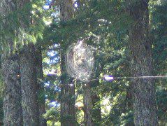 IMG_0487.JPG