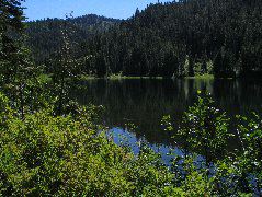 IMG_0489.JPG