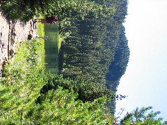 IMG_0492.JPG