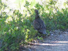 IMG_0493.JPG