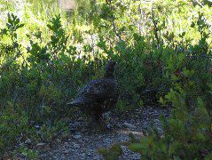 IMG_0494.JPG