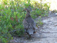 IMG_0495.JPG