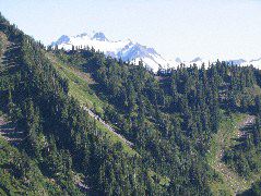 IMG_0499.JPG