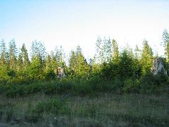 IMG_0420.JPG