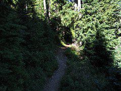 IMG_0503.JPG