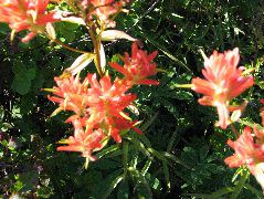 IMG_0504.JPG