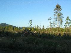 IMG_0421.JPG